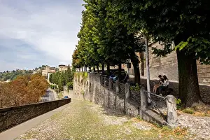 Bergamo Prints: 2samd1a