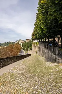 Bergamo Prints: 2samd1m