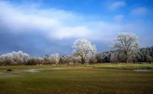 Hoarfrost Prints: 2sayy24