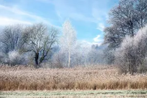 Hoarfrost Prints: 2sayy28
