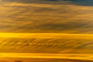 Cirrus Prints: 2sb57p9