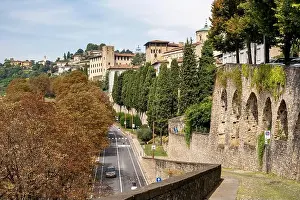 Bergamo Prints: 2sb6cth