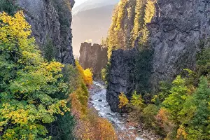 Ravine Prints: 2sb8bp2