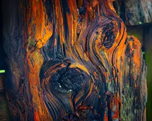 Uncanny Prints: 2sbfxm6