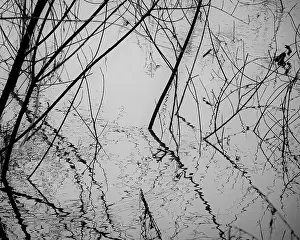 Flooding Prints: 2sbfxt8