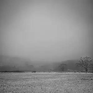 Bleak Prints: 2sbfyef
