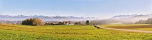 Vaud Prints: 2sbgm8n