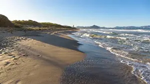 Playa Prints: 2sbxcmf