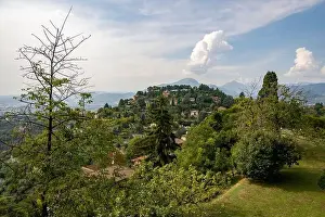 Bergamo Prints: 2sc5g4b