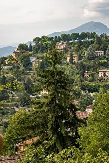 Bergamo Prints: 2sc5g4j