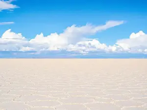 Salt Flats Prints: 2sc5mmr