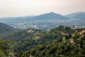 Bergamo Prints: 2scct98