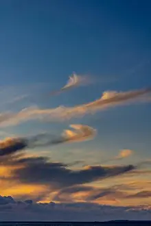 Cirrus Prints: 2sdnmmr
