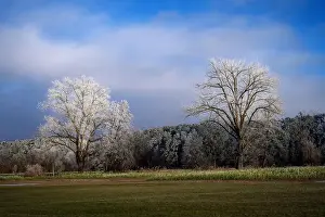 Hoarfrost Prints: 2sf6cx0