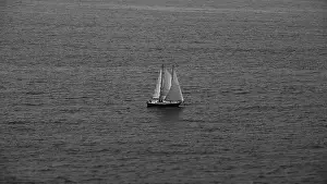 Open Sea Prints: 2sgjyxj
