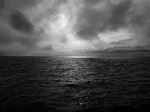 Open Sea Prints: 2sgk31g