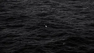 English Channel Prints: 2sgk533