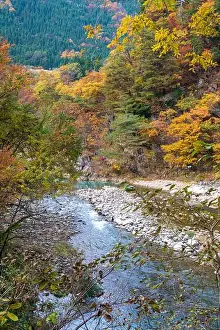 Gifu Prefecture Prints: 2sp9955