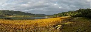 Loch Teacuis Prints: 2srmd89