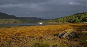 Loch Prints: 2srmdag