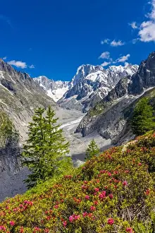 European Alps Prints: 2ye50dk