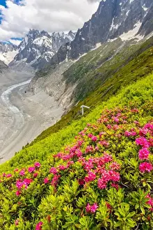European Alps Prints: 2ye50td