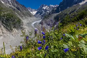 European Alps Prints: 2ye517m