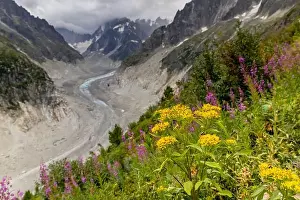 European Alps Prints: 2ye517t