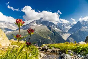 Savoy Alps Prints: 2ye5h47