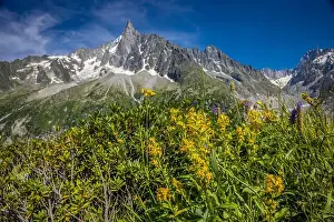 Alpinism Prints: 2ye5r99