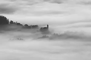 Wood Hill Prints: 2ye8094