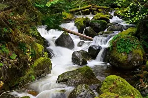 White Water Prints: 2yewe3a