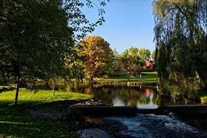 Bucolic Prints: 2yex982