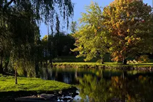 Bucolic Prints: 2yex9bg