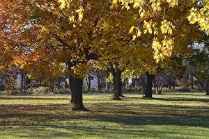 Fall Colors Prints: 2yf3drx