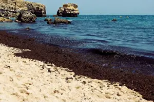 Rocky Coast Prints: 2yg34nm