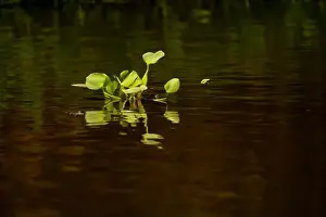 Travel Image Prints: 2yg8p0j