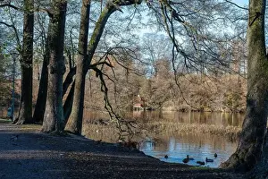 Landscape Park Prints: 2ygg8nm
