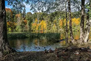 Landscape Park Prints: 2ygg90t