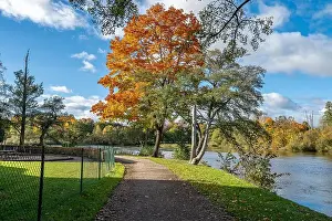 Landscape Park Prints: 2ygg9ap