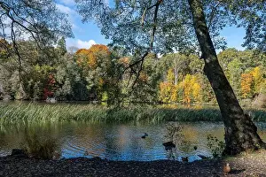 Landscape Park Prints: 2ygg9j9