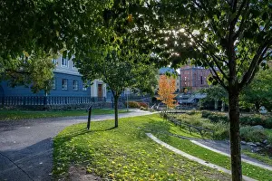 Norrkoping Prints: 2ygg9y2