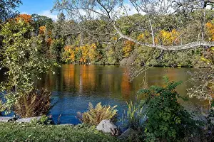 Landscape Park Prints: 2ygg9y7