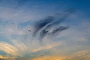 Cirrus Prints: 2yh2j05
