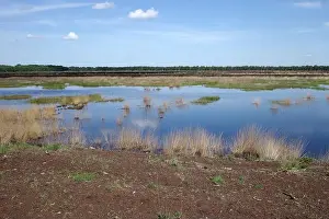 Peat Prints: 2yhe9k2