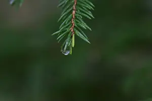 2yhmbew