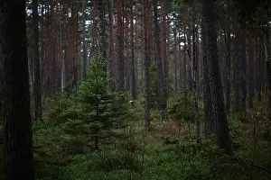2yhmjn2