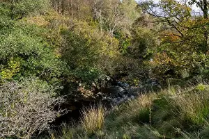 English Landscape Prints: 2yjhmrn