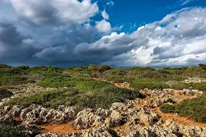 Rocky Coast Prints: 2yjkrb7