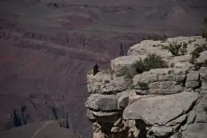 Grand Canyon Prints: 2yjxtpa